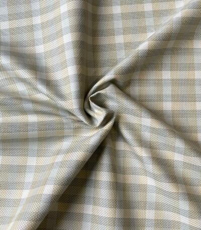Raymond Giza Cotton Fabric