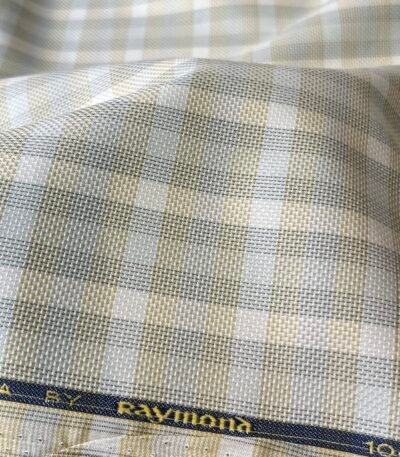 Raymond Giza Cotton Fabric