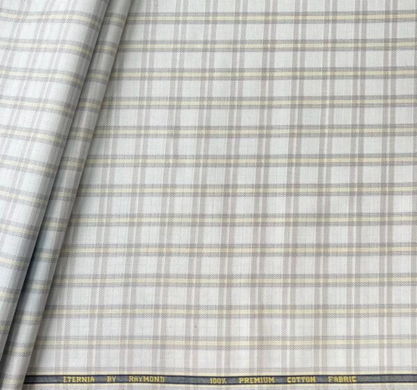 Raymond Giza Cotton Fabric