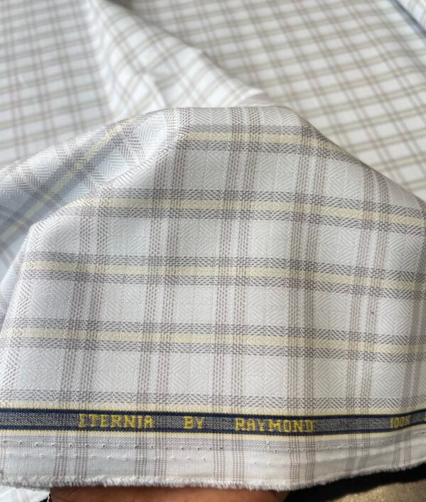 Raymond Pure Giza Cotton Fabric