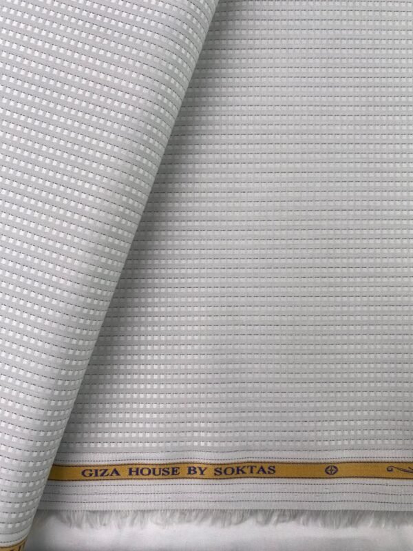 Aditya Birla Giza Cotton Fabric