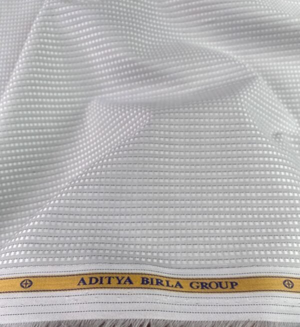Aditya Birla Giza Cotton FabricAditya Birla Giza Cotton Fabric